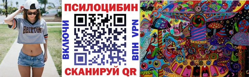 как найти закладки  Билибино  Галлюциногенные грибы MAGIC MUSHROOMS 