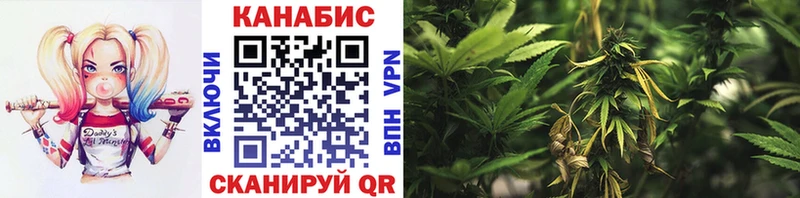 продажа наркотиков  Билибино  Шишки марихуана тримм 